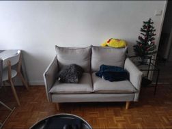 Photo n°5