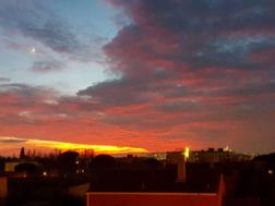 Photo n°16