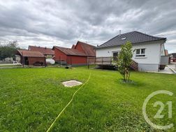 Photo n°8