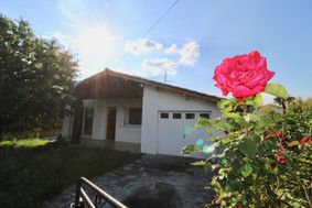 Photo n°1
