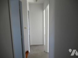 Photo n°4