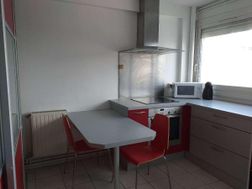 Photo n°4