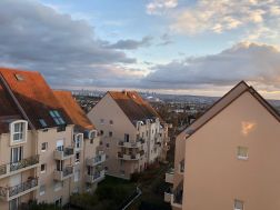 Photo n°9