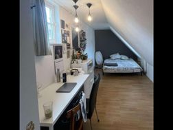 Photo n°2