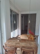 Photo n°5