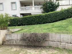 Photo n°1