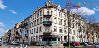 Photo n°7