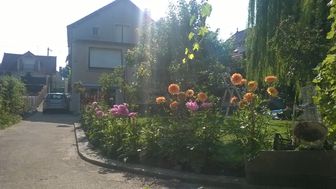 Photo n°1