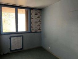 Photo n°4