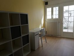 Photo n°5