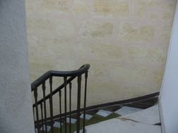 Photo n°5
