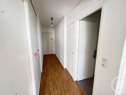 Photo n°4