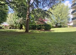 Photo n°6