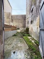 Photo n°5