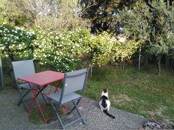 Photo n°4