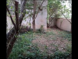 Photo n°4