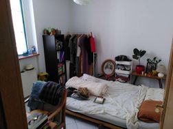 Photo n°1