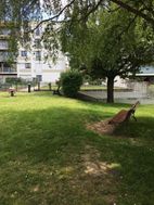 Photo n°3
