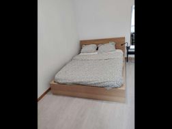 Photo n°6