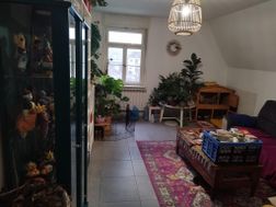 Photo n°4