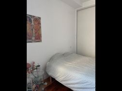 Photo n°6