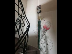 Photo n°8