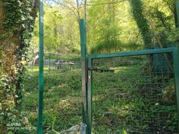 Photo n°5