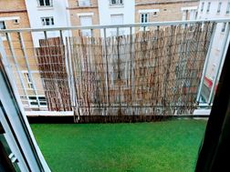 Photo n°5