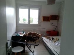 Photo n°14