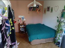 Photo n°7