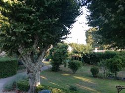 Photo n°3