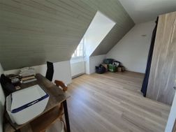 Photo n°7
