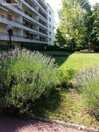 Photo n°2
