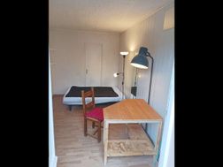 Photo n°6
