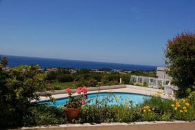 Photo n°2
