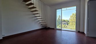 Photo n°4