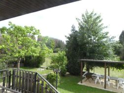 Photo n°4