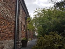 Photo n°6