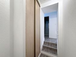 Photo n°5