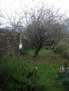 Photo n°1