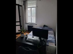 Photo n°5