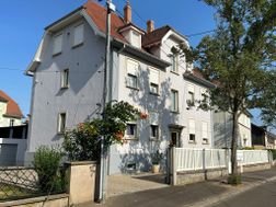 Photo n°6