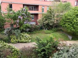 Photo n°14