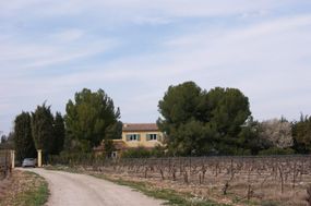 Photo n°1