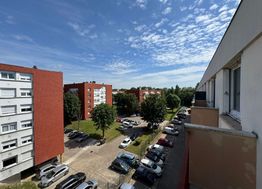 Photo n°6