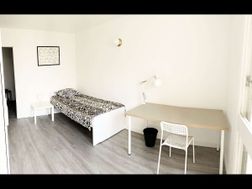 Photo n°5