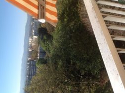 Photo n°3