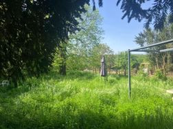 Photo n°6