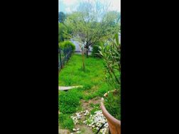 Photo n°18