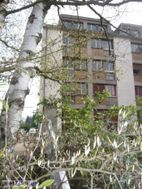Photo n°1